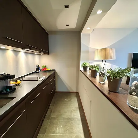 Kitz Deluxe 1 & 2 Im Zentrum Mit Eigenem & Parken By Belle-stay 아파트 *